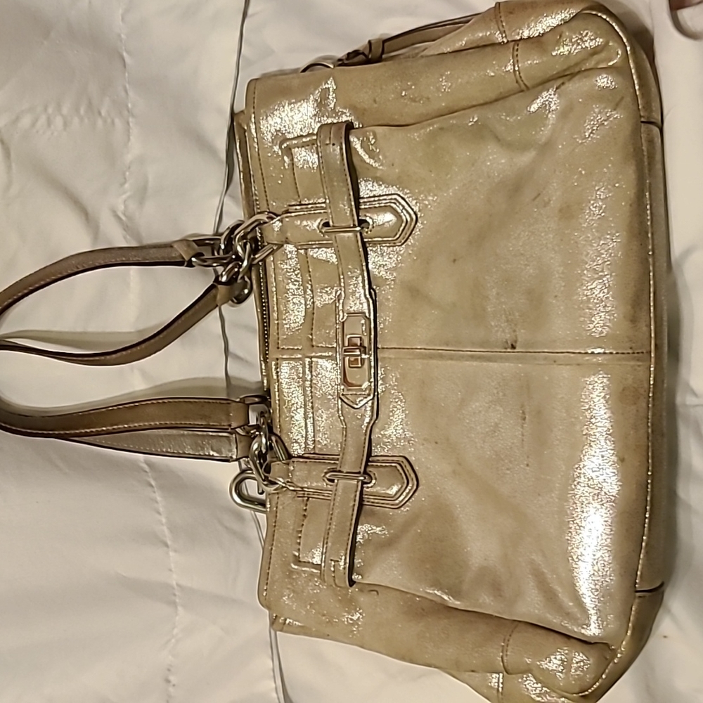 COACH Chelsea Jayden Platinum Metallic Leather Carryall Bag Tote Nickel Hardware